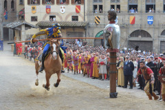 146°-GIOSTRA-DEL-SARACINO_49